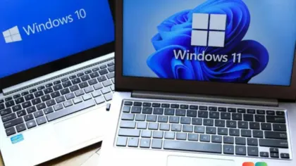 Microsoft tests global toggles to kill Bing and Store results in Windows 11 Search