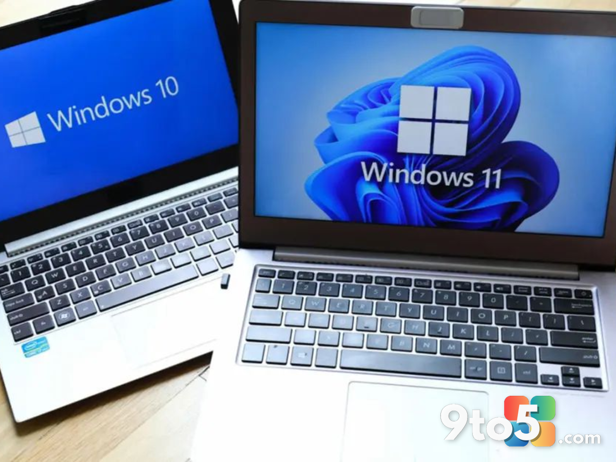 Microsoft tests global toggles to kill Bing and Store results in Windows 11 Search