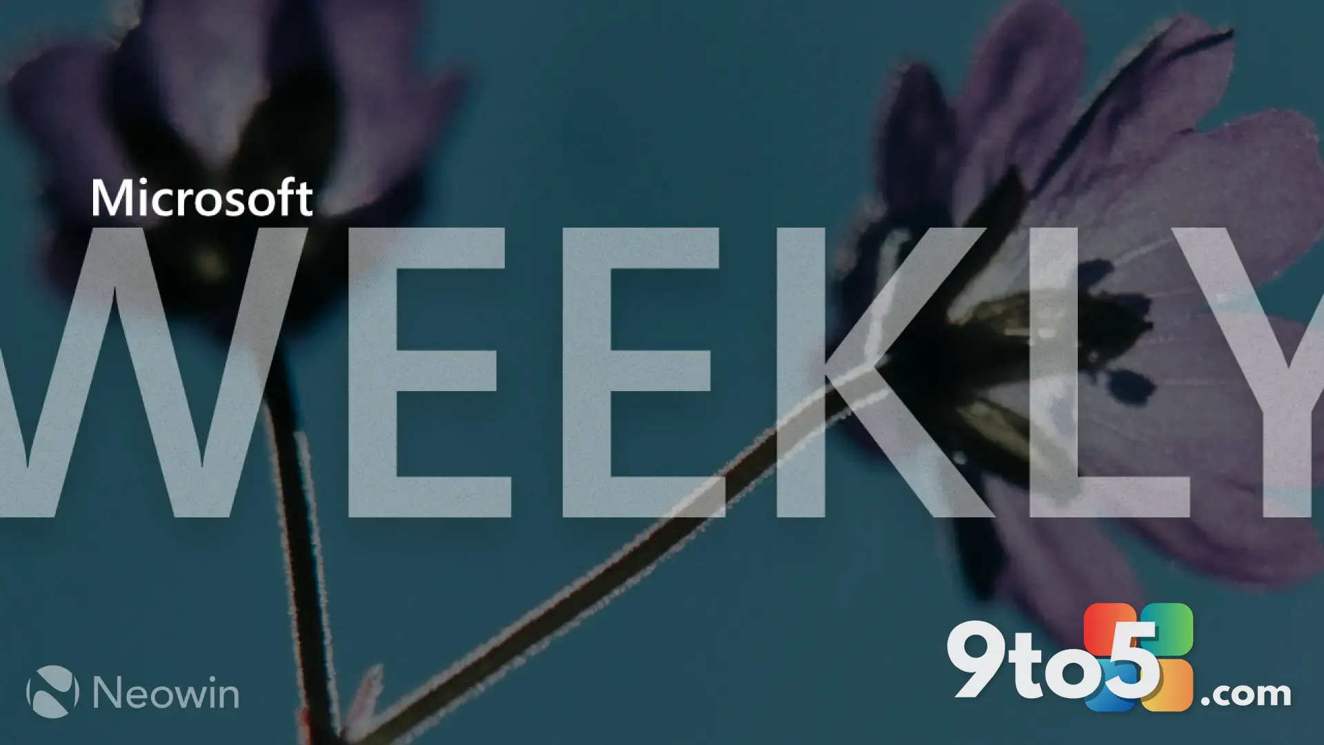 Microsoft Weekly Roundup: New Surface Laptop, On-Device AI, and Microsoft 365 Family Storage Cuts